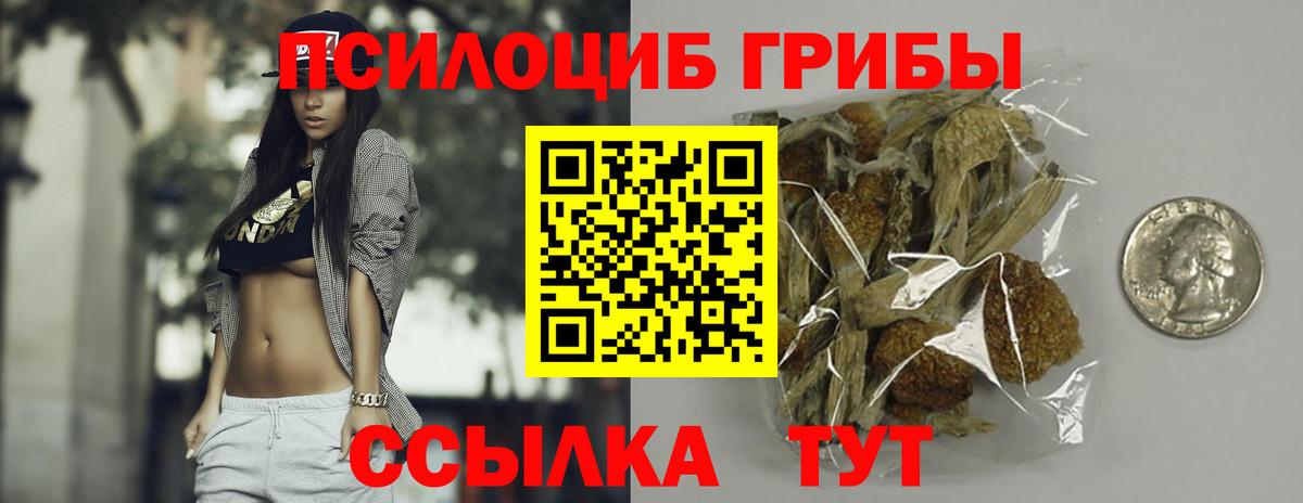 Галлюциногенные грибы Cubensis Изобильный